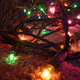 Illustration for article titled Photo Contest: Christmas Lights